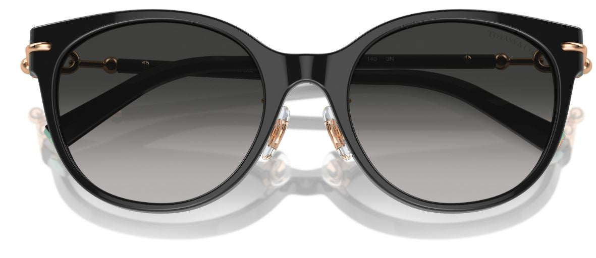 Lunettes de Soleil Tiffany & Co TF4223D