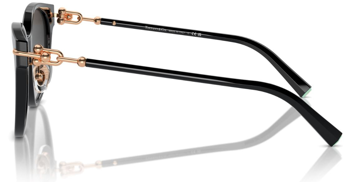 Lunettes de Soleil Tiffany & Co TF4223D