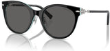 Lunettes de Soleil Tiffany & Co TF4223D