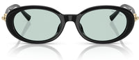 Lunettes de Soleil Tiffany & Co TF4242D