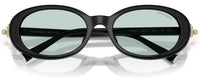 Lunettes de Soleil Tiffany & Co TF4242D