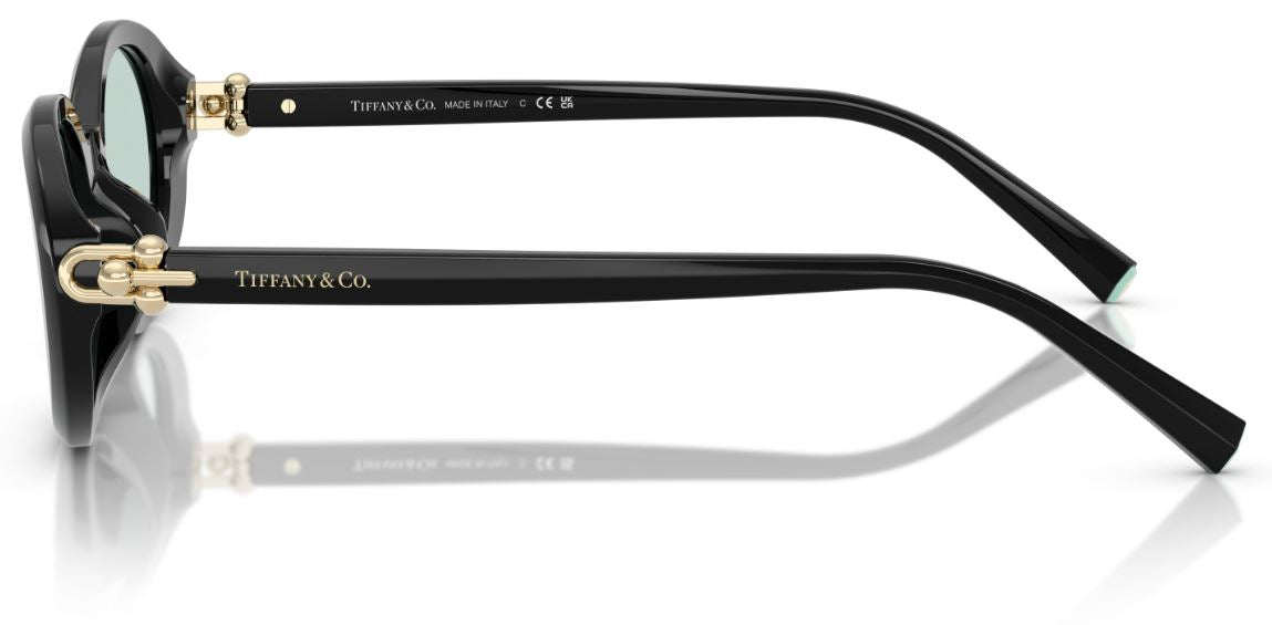 Lunettes de Soleil Tiffany & Co TF4242D