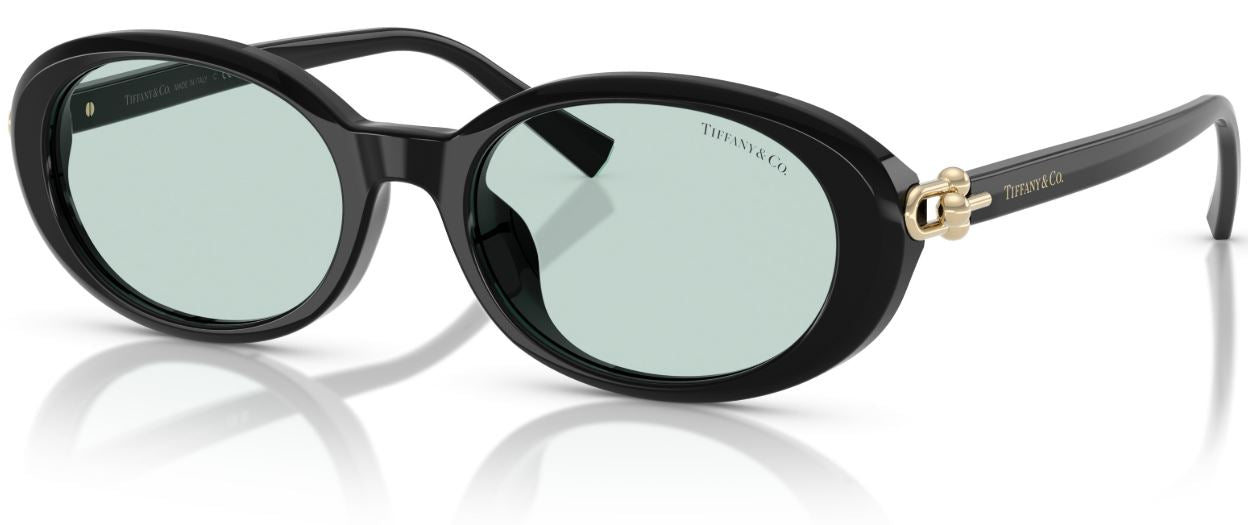 Lunettes de Soleil Tiffany & Co TF4242D