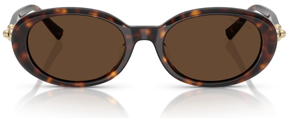 Lunettes de Soleil Tiffany & Co TF4242D
