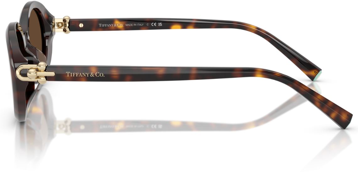 Lunettes de Soleil Tiffany & Co TF4242D