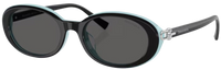 Lunettes de Soleil Tiffany & Co TF4242D