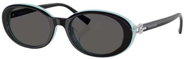 Lunettes de Soleil Tiffany & Co TF4242D