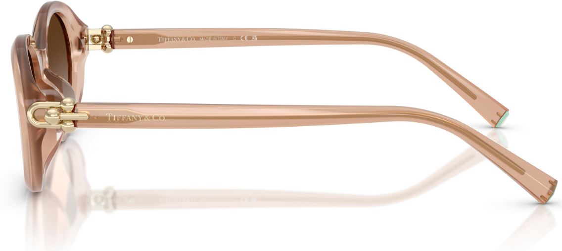 Lunettes de Soleil Tiffany & Co TF4242D