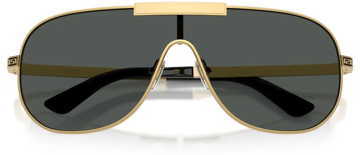 Lunettes de soleil Versace VE2293